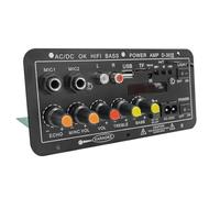 Yarryuter Placa Amplificadora Digital Bluetooth de 12 V, 24 V y 220 V, Subwoofer, Micrófono Doble, Amplificador de Karaoke, Altavoz para Cine, Bricolaje, 30 W, Enchufe de la UE