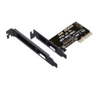 Yarryuter Tarjeta Adaptadora PCIe4.0 X4 A SFF-8611/8612. Interfaz de Expansión Externa de Alta Velocidad PCIe X4 4.0. Chasis de Soporte Externo.