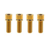 Yaruijia Tornillo de titanio M7 x 20 mm, M7 x 25 mm, tornillos Allen con arandela para piezas de bicicleta, paquete de 4 (M7 x 25 mm, dorado)