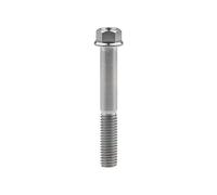 Yaruijia Tornillo de titanio M8x15 20 25 30 35 40 45 50 55 60 65 mm brida pequeña tornillo de cabeza hexagonal para motocicleta bicicleta piezas paso 1,25 mm (M8 x 55 mm, titanio)
