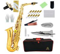 Yasisid Chapado en oro, EbAltoSaxofón, latón de alta calidad, saxofón con funda, accesorios ideales para principiantes y músicos avanzados