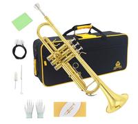 Yasisid Juego de trompeta estándar Bb, instrumento de trompeta de latón con estuche duro, kit de limpieza, boquilla 7C y guantes para adultos o niños - Principiante (dorado)
