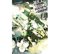Yasuda, Suzuhito - Is It Wrong to Try to Pick Up Girls in a Dungeon?, Vol. 13 (light novel): Volume 13 (IS WRONG PICK UP GIRLS DUNGEON NOVEL SC)
