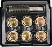YATO Kit de reparación profesional para roscas de drenaje de aceite, M13, M15, M17, M20, M22, 1,5 mm, acero HSS macizo, incluye tornillos de repuesto y juntas (M17 x 1,5 mm)