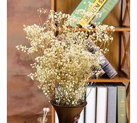 YAYDAFSHSAI Flores secas, Flores Secas Preservadas Gypsophila Baby Breath Million Stars Multicolor 50-60cm(Beige)