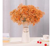 YAYDAFSHSAI Flores secas, Flores Secas Preservadas Gypsophila Baby Breath Million Stars Multicolor 50-60cm(Orange)