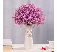 YAYDAFSHSAI Flores secas, Flores Secas Preservadas Gypsophila Baby Breath Million Stars Multicolor 50-60cm(Pink)