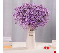 YAYDAFSHSAI Flores secas, Flores Secas Preservadas Gypsophila Baby Breath Million Stars Multicolor 50-60cm(Purple)