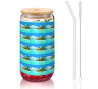 YBGHDAA Island with Sandy Beach and Palm Tree Printing 1 Pcs Beber Tumbler with Lid and Straw 473.6 g Glass Cups Ideal for Whisky, Beer Tea