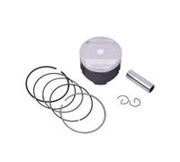 YbViKln Kit de pistón y aro for TTR250 1993-1994 TT-R250 1994-1995(73mm)