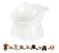ycezw Plato de comida elevado para gatos, cuencos de comida elevados para gatos, cuenco para gatos inclinado elevado, prevención de la fatiga del cuello y el reflujo de los cuencos de comida para