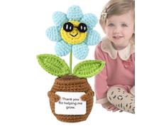 ycezw Trabajo de ganchillo de alegre, muñeca alegre | Decoración de artificial de ganchillo para casa, escritorio, coche y salpicadero y motivador para profesores y amigos