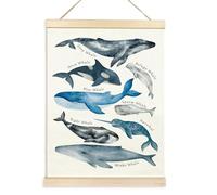 YCHUCH Póster educativo de ballenas con letras del alfabeto, vida marina, decoración de pared, ideal para el aula o el aprendizaje en casa, póster de aprendizaje para niños pequeños
