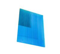 YCOVSFP 48 Láminas De Policarbonato Doble Capa For Techos Invernaderos, Repuesto For Exterior(Blue,50X50cm-10mm)