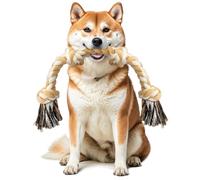 Ycozy Juguete de Cuerda para Perros medianos/pequeños de 26 Pulgadas/Cuerda de Perro de 4 Nudos para masticadores agresivos, Cachorro, Juguete Casi Indestructible para Masticar la dentición, Juguete