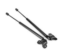 Yctze 2 Uds Puntal de capó 74195-SDB-A02 Varilla de Brazo de Soporte de capó Delantero Se Adapta a 2003-2007, Premium, Fácil Instalación,