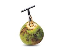 Yctze Abridor de Coco, Herramienta Abridor de Coco de Acero Inoxidable, Galleta de, Ideal para Agua de Verde Fresca (BLACK)