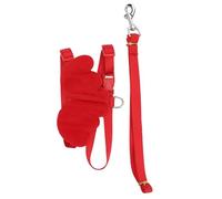 Yctze Arnés Ajustable para Mascotas con Correa para Patos, Pollos y Gansos: Arnés de Nailon para Caminar con Cuerda de Tracción, Cómodo Paseo para Aves de Corral, Entrenamiento y Uso Diario (M)