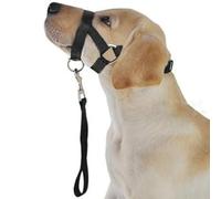 Yctze Bozal Ajustable para Perro con Cuerda de Remolque, Cómodo Collar y Cabestro de Poliéster para Perro, Herramienta de Entrenamiento Eficaz para Morder, Ladrar y Huir, Controla de Forma Segura a