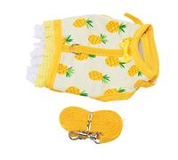 Yctze Conjunto de Correa Tipo Chaleco Premium con Dobladillo de Encaje y Estampado de Frutas | Arnés para Animales Pequeños para Chinchilla y Hurón (M)