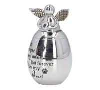 Yctze Urna de Cremación para Mascotas de Acero Inoxidable de 30 X 40 Mm | Exquisito, Resistente Al óxido y Conmemorativo para Cenizas, para Repisa o estantería. (Impresión de Garra de Gran tamaño.)