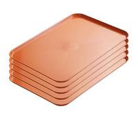 YCYHXJB 5 Bandejas para Servir Comida, Bandejas Apilables para Actividades Artísticas, Cacerola de Protección contra Fugas para El Hogar, La Escuela, Plantas y Servir