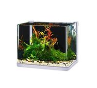 YDHSIKK Accesorios para peceras de Cristal, Acuario de Vidrio Pequeño Escritorio for Invitados Acuario Creativo Acuario Acuario Paisajismo Pecera de Tortuga Pecera de Lucha Acuario