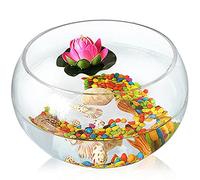YDHSIKK Accesorios para peceras de Cristal, Tanque cilíndrico Redondo for Peces de Colores, Creativo y ecológico, de Vidrio, for Tortugas, hidropónico, florero(25CM)