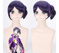 ydound 2022 Amor Vivo tozomi Wig LoveLive Cosplay apoyos púrpura Pelo Tema Papel Juego Pelucas cómico con Carnaval Disfraces Chicas Pelucas Amor Vive una (Color : D, Size : Love Live)