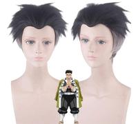 ydound 2022 Demonio Slayer Kimetsu No Yaiba Gyoumei Himejima Kyoumei Peluca Corta Cosplay Traje Resistente al Calor Pelucas de los Hombres del Pelo sintético