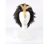 ydound 2022 Haikyuu! Voleibol Kei Tsukishima/Hinata Syouyou/Nishinoya Yuu Cosplay Peluca Peluca Resistente al Calor Kozume Kenma Wig Anime Cos Oikawa Tooru (Color : Nishinoya Yuu)
