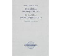 Ye Capital Tolo Que Fluye = Es Capital Todo Lo Que Fluye (ed. Bilingüe