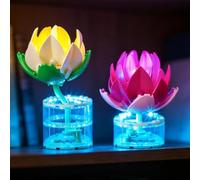 YEABRICKS Luz LED para Lego-11511 Botanicals Water Lilies Building Blocks Model (juego de construcción no incluido)