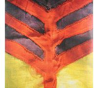 Yeah Yeah Yeah's – Show Your Bones – Vinilo