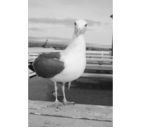 Year of Pride, Power & Possibility: A 12-Month Journal for the Gay and LGBTQ+ Community