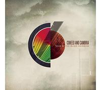 Year of the Black Rainbow