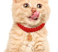 Year of the Snake Woven Pet Collar, Red Adjustable Cat Collar, Puppy Neck Scarf Decor, Stylish Woven Collar for Small Dogs, Adjustable Pet Accessory for Cats, Cute and Comfortable Neckwear