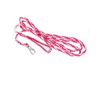 Yechiry Correa Ajustable para Mascotas Pequeñas, Arnés Suave de Nailon para Caminar, Accesorio de Campana con Campana, Ideal para Hámster, Ardilla y Ardilla Voladora, 161-181 Cm (Rosa + Rosa roja)