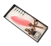 Yechiry Juego de Bolígrafos de Plumas, Elegante Traje de Escritura para Caligrafía y Regalos Exclusivos para Parejas, Profesores y Ancianos, Acero Inoxidable Plumas, 1 Juego (Rosada)
