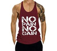 YeeHoo Camiseta Deportiva de Tirantes para Hombre Culturismo Muscle Tank Top Camisetas de Gym No Pain No Gain