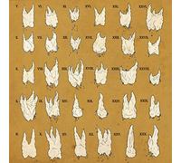 Yeesh - Confirmation Bias [Vinilo]