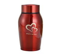 YEJBBUC Urna para mascotas con texto en inglés «Keeping Precious Memories», para cenizas de gatito, conejo, cachorro, rojo, 6 x 13,5 cm