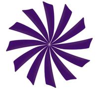 YELARXI Flechas de flecha para pavo, flechas de plumas, 3 pulgadas, ala derecha, para caza y tiro al blanco (25 unidades, morado)