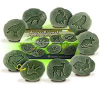 Yellow Door BIGLAND Let's Investigar, juego de piedras de bosque