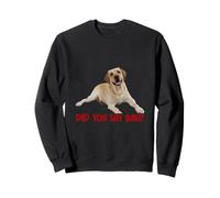Yellow Lab Did You Say Ball Labrador Lover Dog Pet Dueño Sudadera