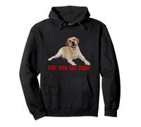 Yellow Lab Did You Say Ball Labrador Lover Dog Pet Dueño Sudadera con Capucha