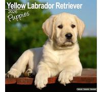 Yellow Labrador Puppies Calendar 2026 Square Dog Puppy Breed Wall Calendar - 16 Month