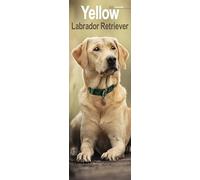 Yellow Labrador Retriever Slim Calendar 2025 Dog Breed Slimline Calendar - 12 Month