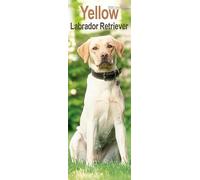 Yellow Labrador Retriever Slim Calendar 2026 Dog Breed Slimline Calendar - 12 Month