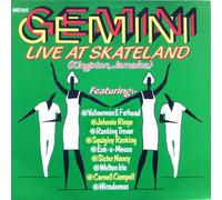 Yellowman & Fathead - Various Artists - Gemini Live At Skateland (Dancehall Stylee Records DHS 002) [VINYL LP ALBUM]